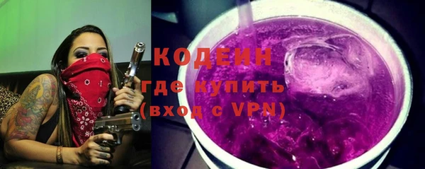 твердый Богородицк