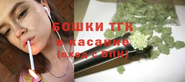 твердый Богородицк