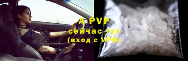экстази Богданович