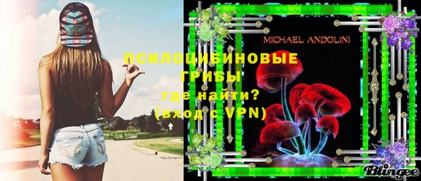 твердый Богородицк