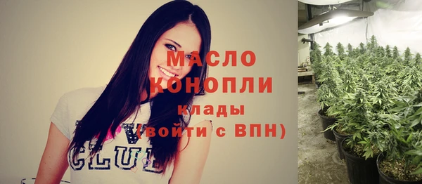 твердый Богородицк