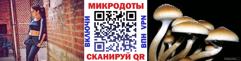 Псилоцибиновые грибы GOLDEN TEACHER купить гидра как войти Невьянск
